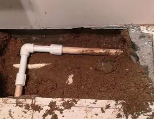 兴义测漏水哪家好